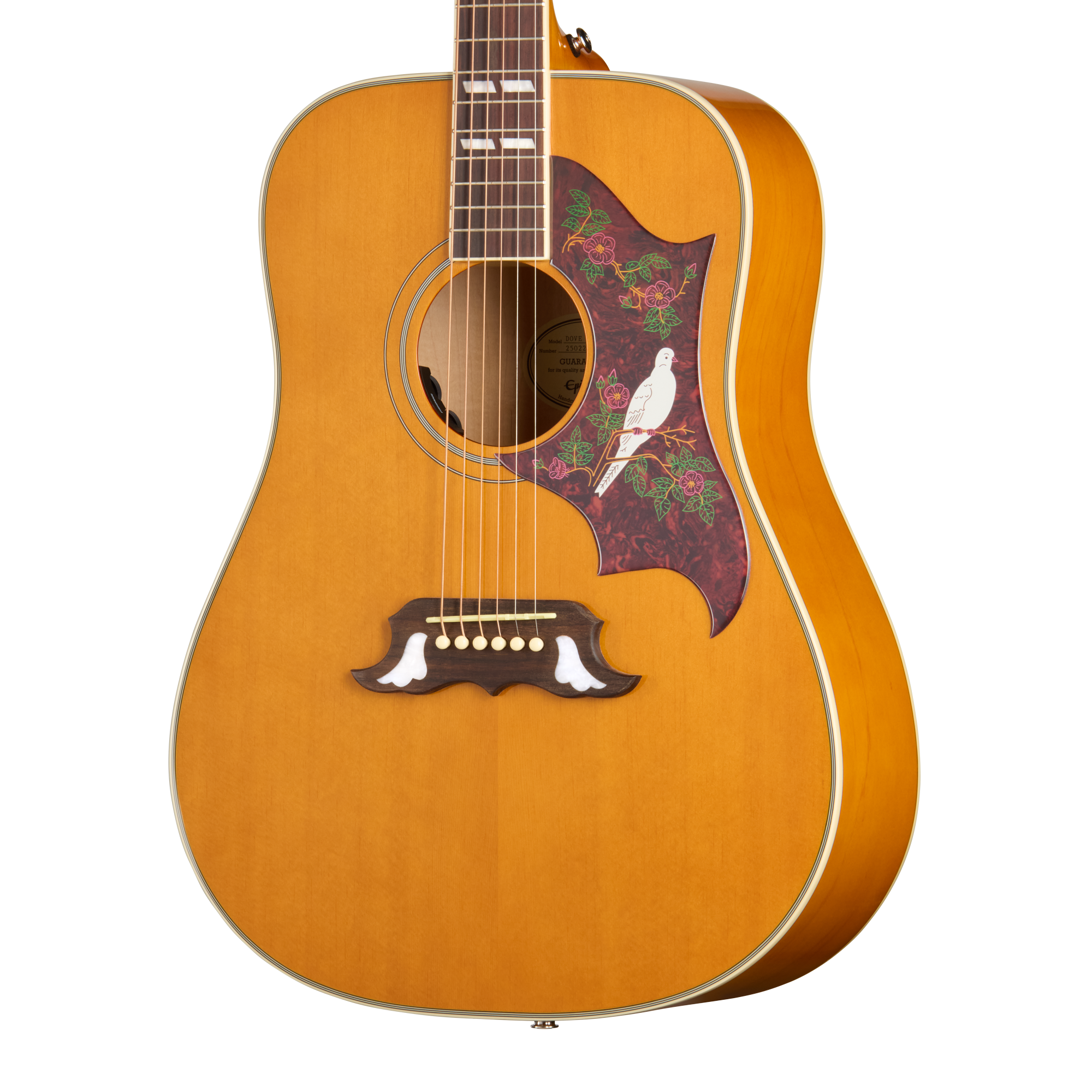 [yucca]Epiphone アコースティックギター DOVE yucca]Epiphone アコースティックギター DOVE yucca]Epiphone