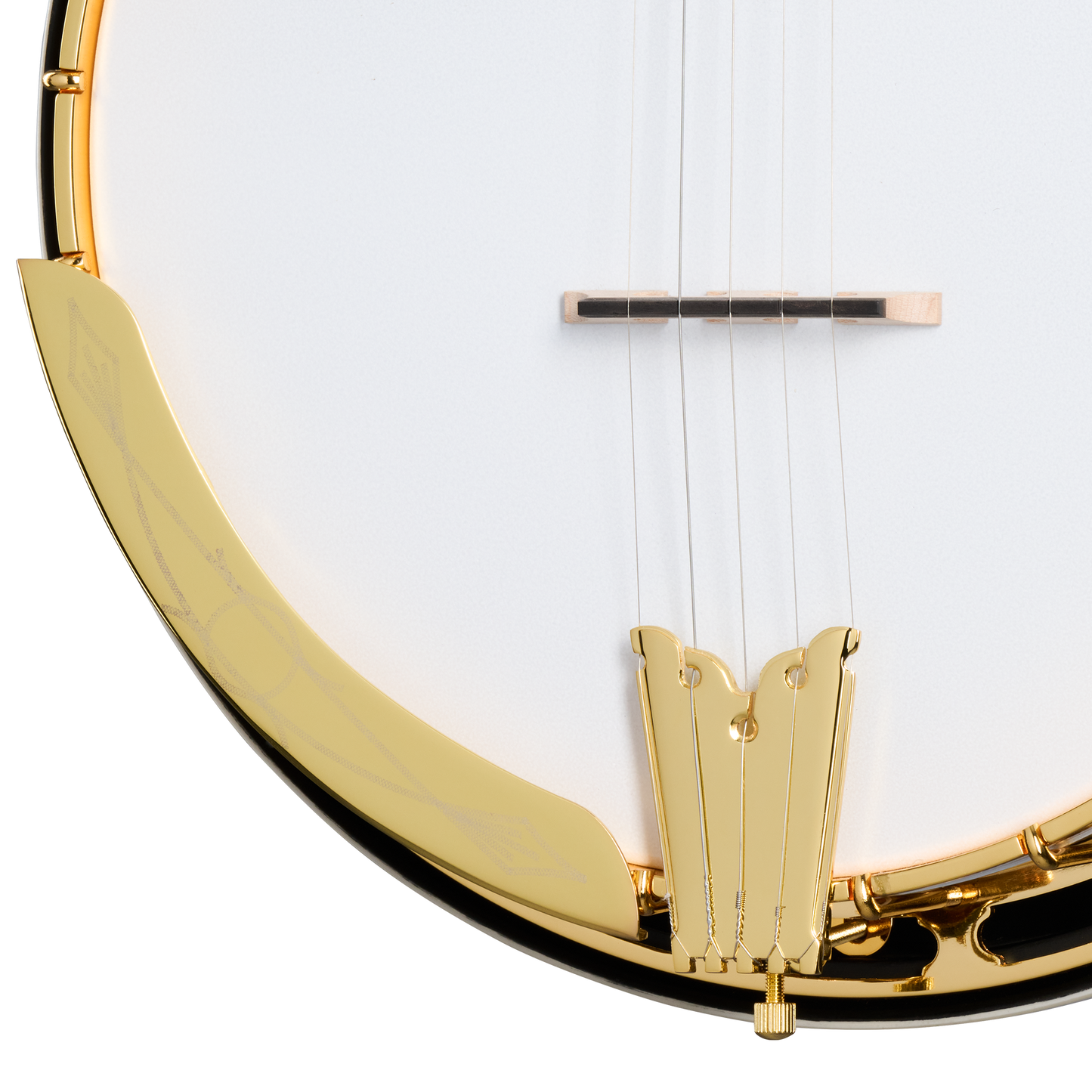 Epiphone Earl Scruggs Golden Deluxe Banjo, Vintage Sunburst Banjo Epiphone