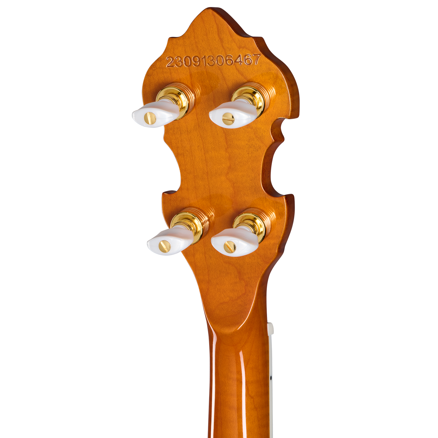 Epiphone Earl Scruggs Golden Deluxe Banjo, Vintage Sunburst Banjo Epiphone