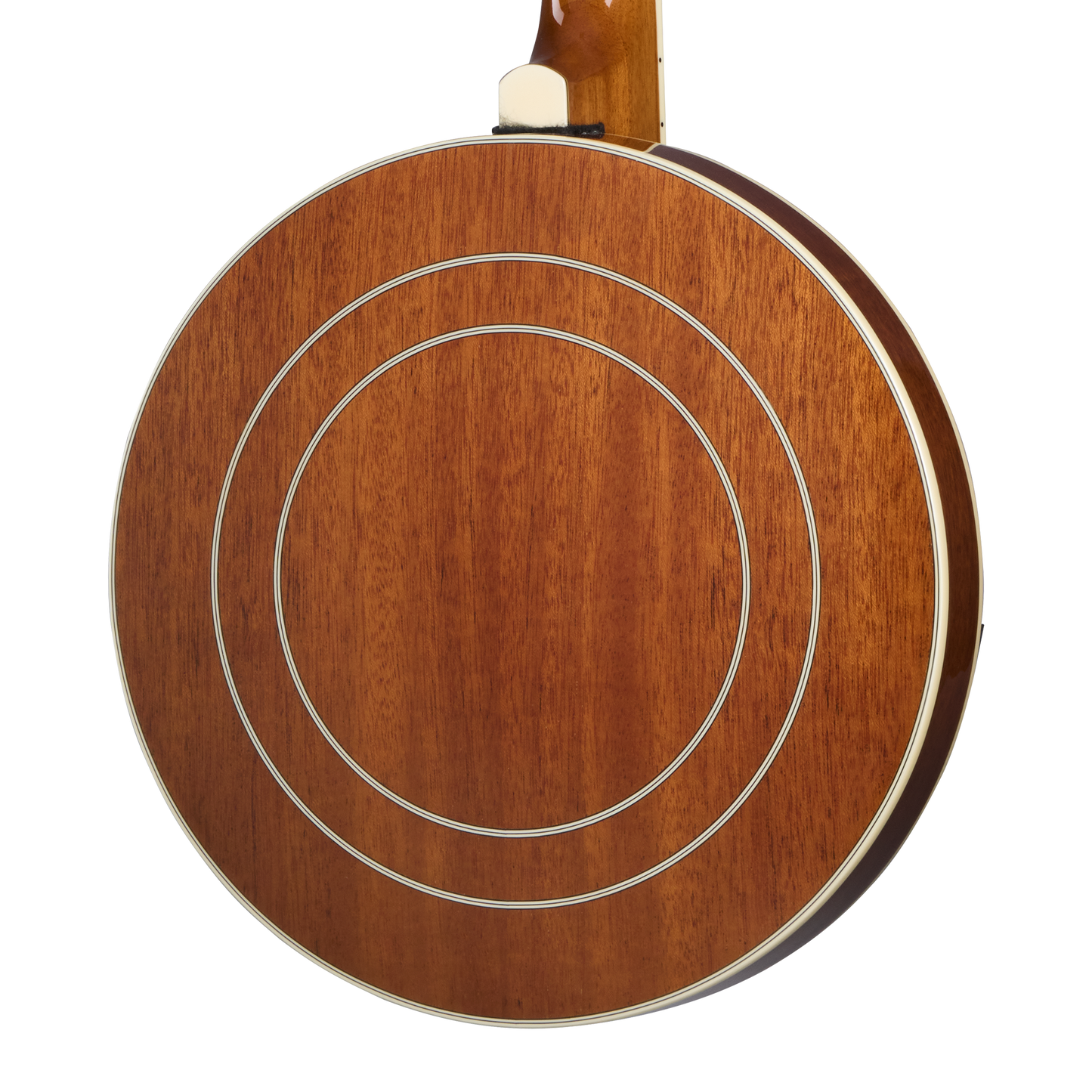 Epiphone Mastertone Classic Banjo, Natural Banjo Epiphone