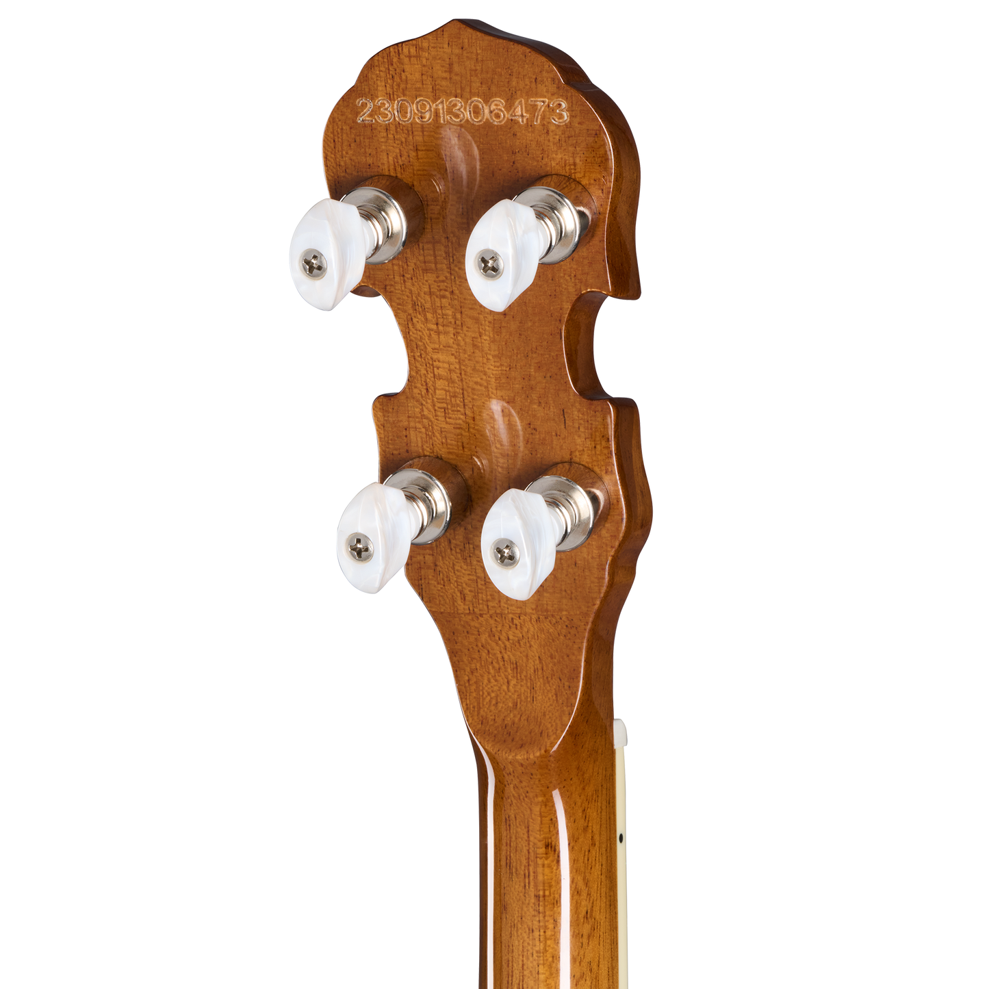 Epiphone Mastertone Classic Banjo, Natural Banjo Epiphone