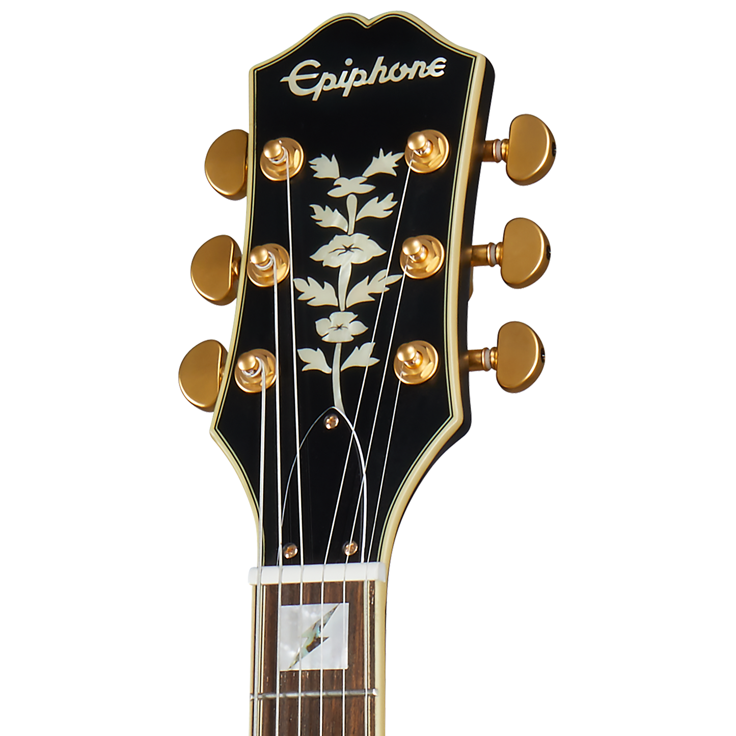 Epiphone Emily Wolfe Sheraton Stealth, Black Aged Gloss Electric Guitar Epiphone