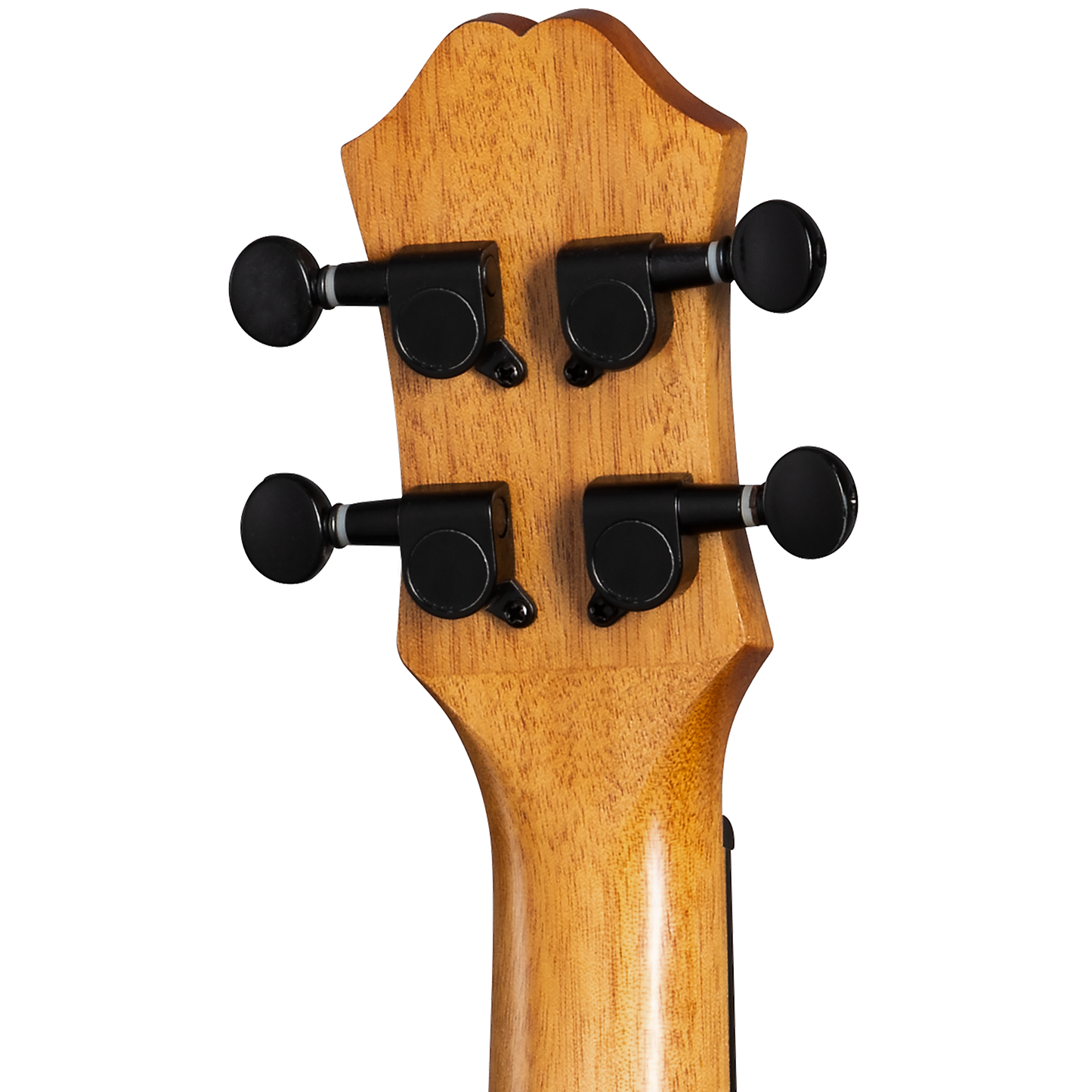 Epiphone EpiLani Soprano Ukulele, Natural Satin Ukulele Epiphone