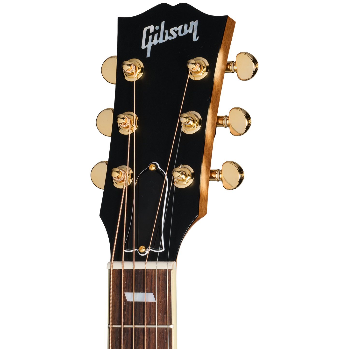 Gibson Parlor Rosewood EC, Rosewood Burst Acoustic Guitar Gibson
