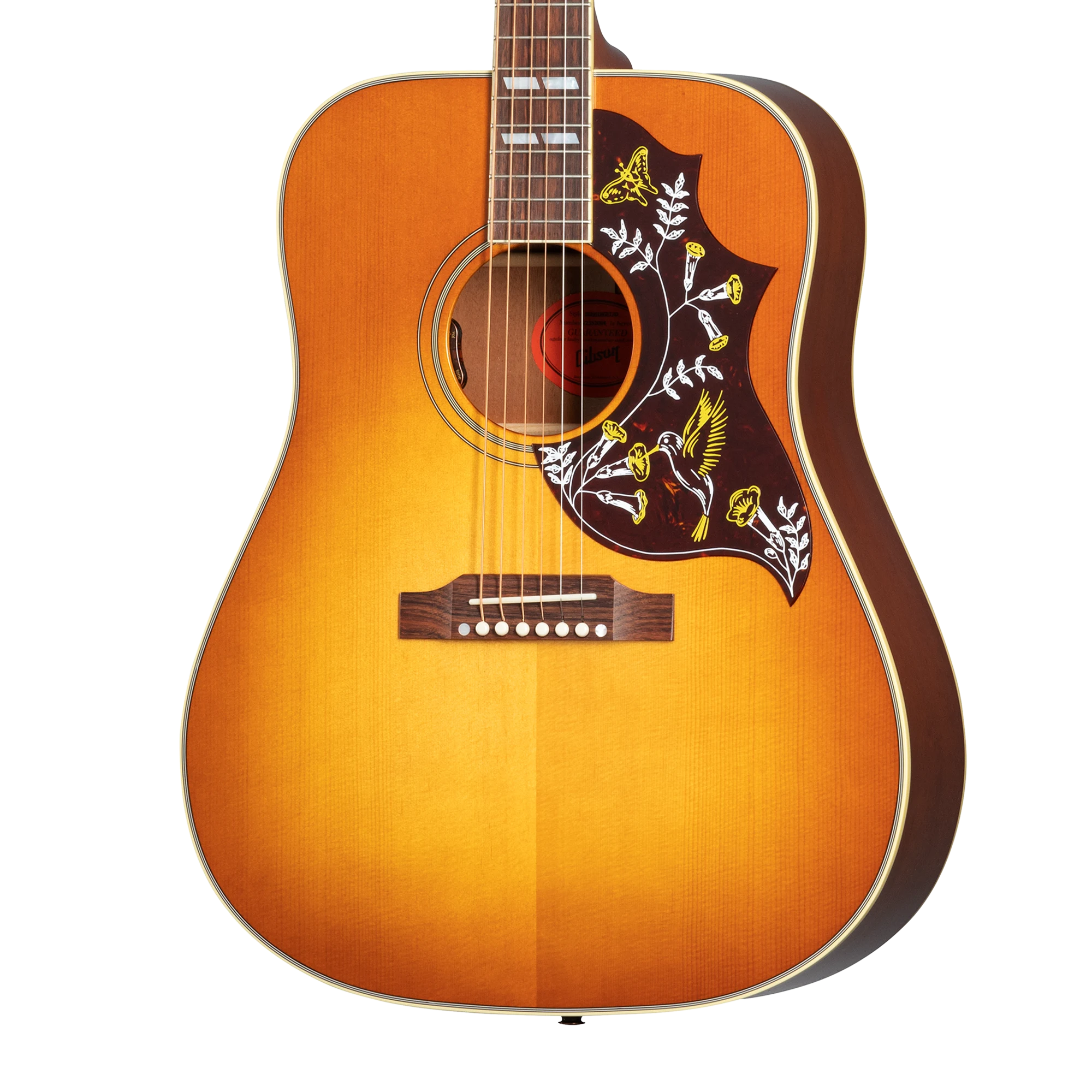 Gibson One of Gibson's Most Distinctive Acoustic Instruments Gibson One of Gibson's Most Distinctive Acoustic Instruments