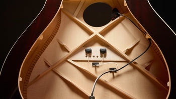 The HiFi DNA acoustic guitar pickup system 