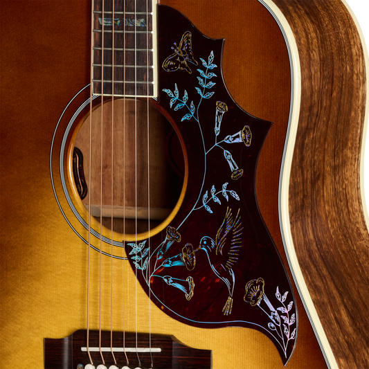 Gibson Custom Hummingbird Elegant Koa, Honey Burst Acoustic Guitar Gibson Custom