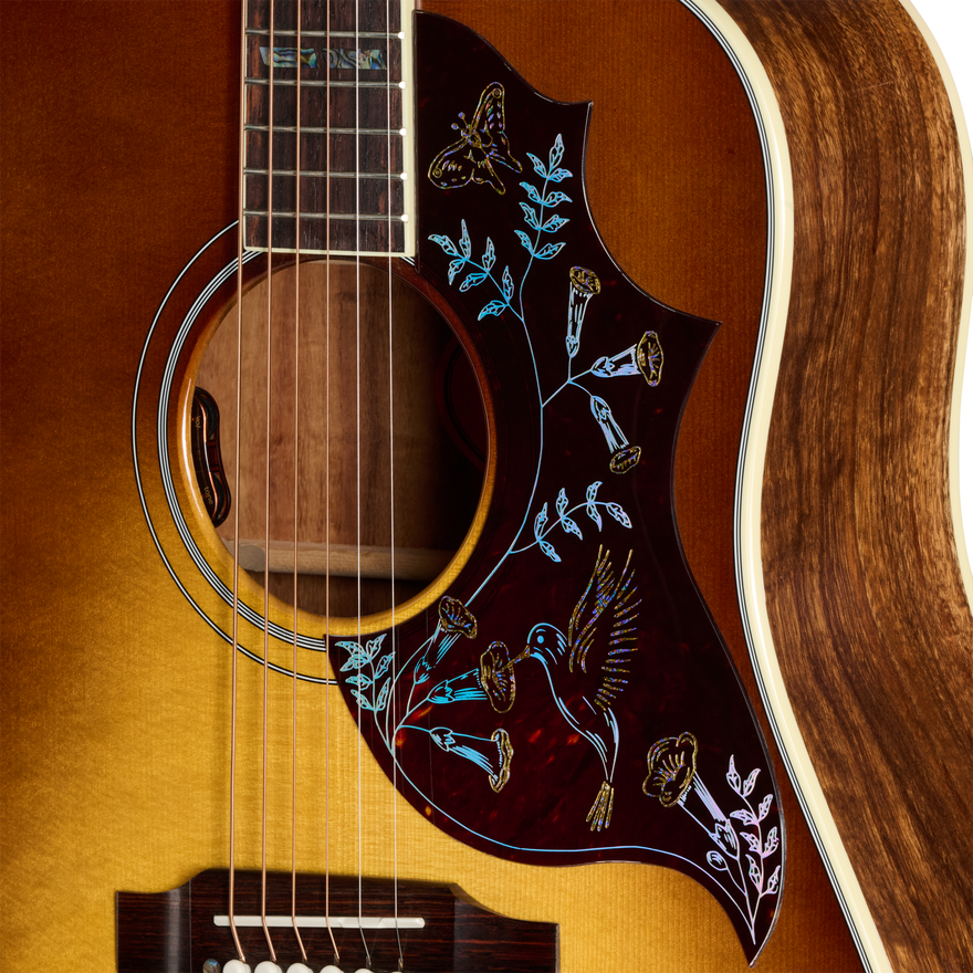 Gibson Custom Hummingbird Elegant Koa, Honey Burst Acoustic Guitar Gibson Custom