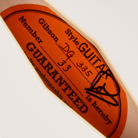 Gibson Custom Dave Grohl DG-335 Limited Edition, Alpine White