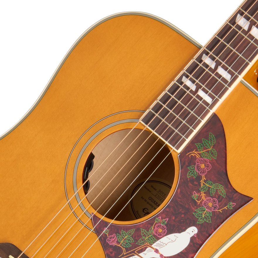 Epiphone Dove Studio, Natural – Gibson