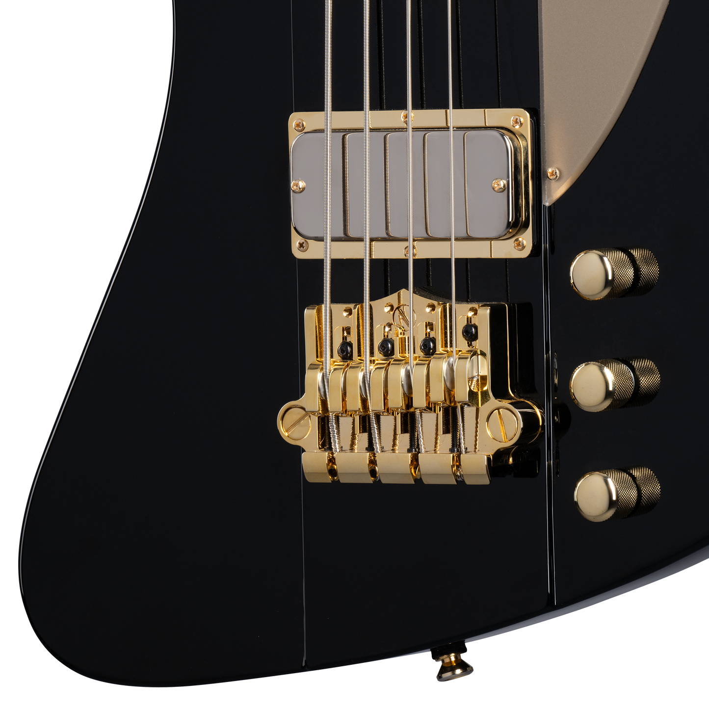 Epiphone Rex Brown Thunderbird Bass, Ebony Electric Bass Epiphone
