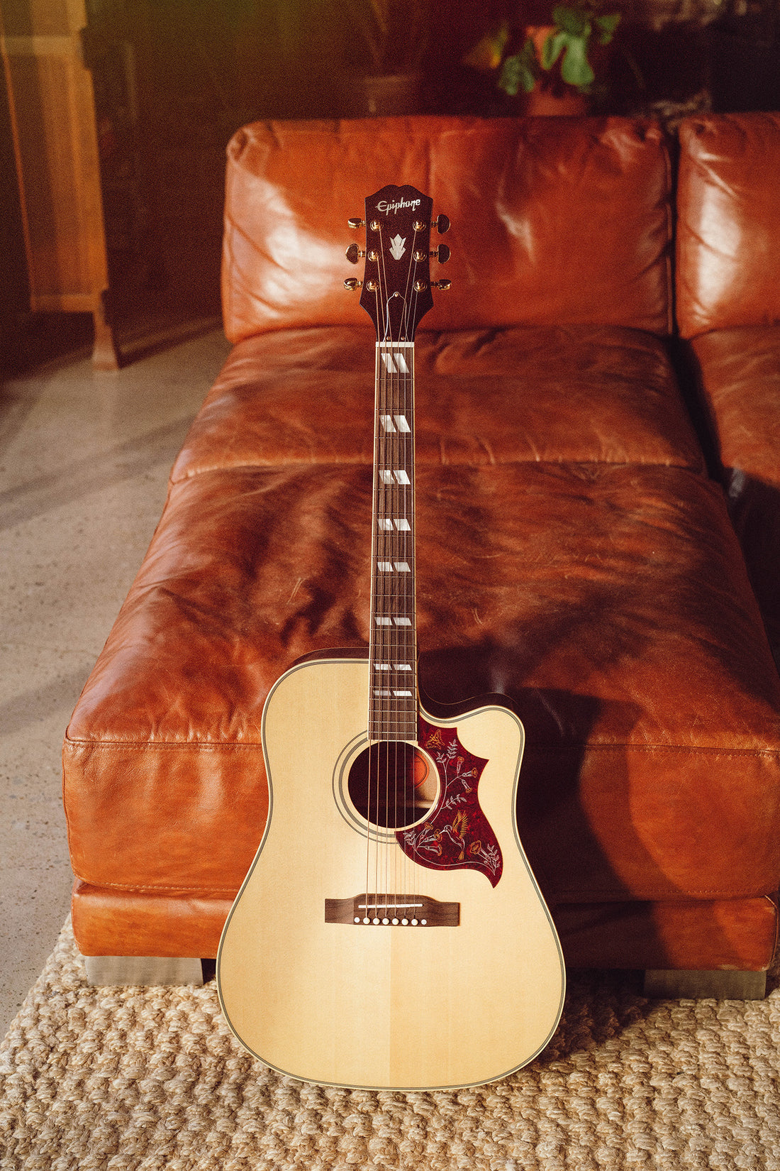 Epiphone Hummingbird Standard EC