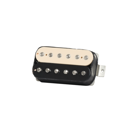 Kramer Eruption, Treble, Zebra Pickup Kramer