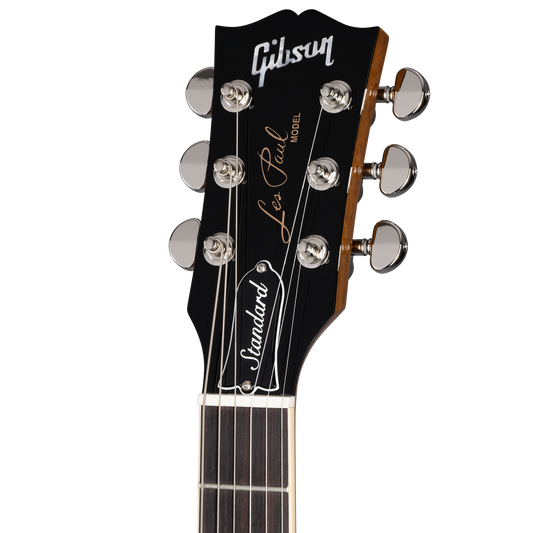 Gibson Les Paul Standard 60s Custom Color, Translucent Oxblood Electric Guitar Gibson