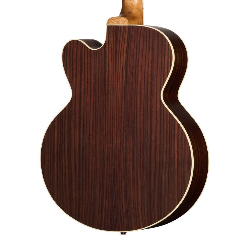 Gibson Parlor Rosewood EC, Rosewood Burst Acoustic Guitar Gibson