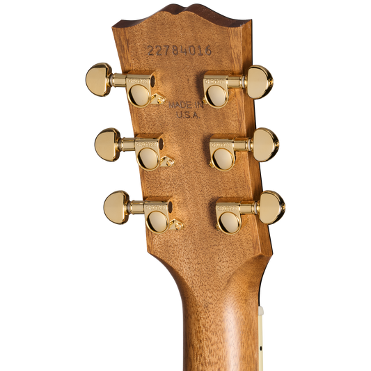 Gibson Parlor Rosewood EC, Rosewood Burst Acoustic Guitar Gibson