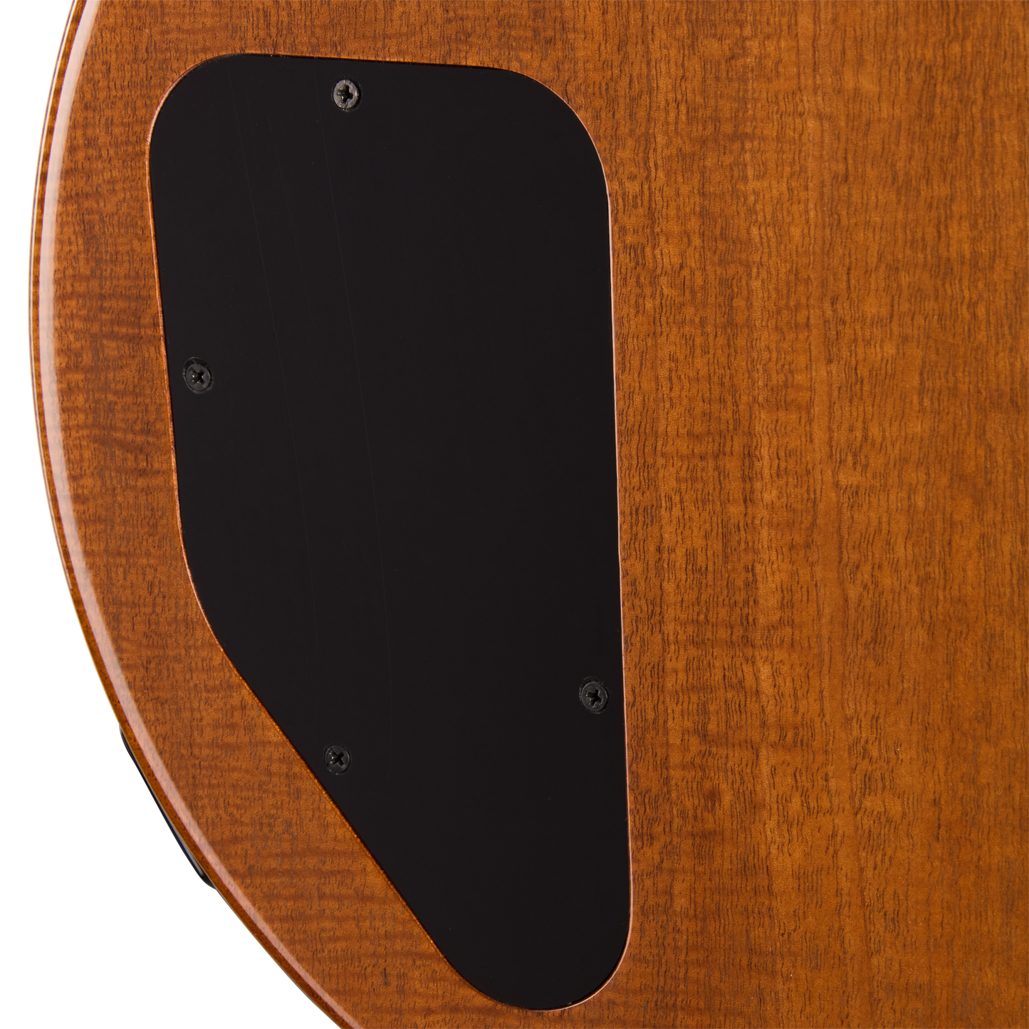 Gibson Mod™ Collection Les Paul Special Double Cut Figured, Paradise Electric Guitar Gibson Mod™ Collection