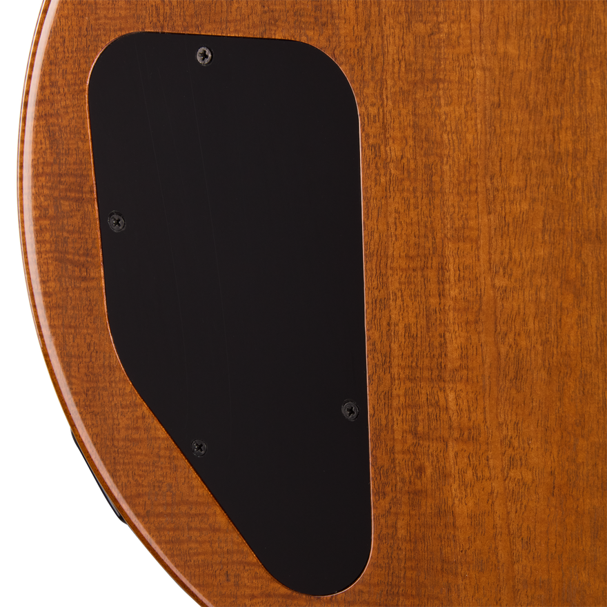Gibson Mod™ Collection Les Paul Special Double Cut Figured, Paradise Electric Guitar Gibson Mod™ Collection