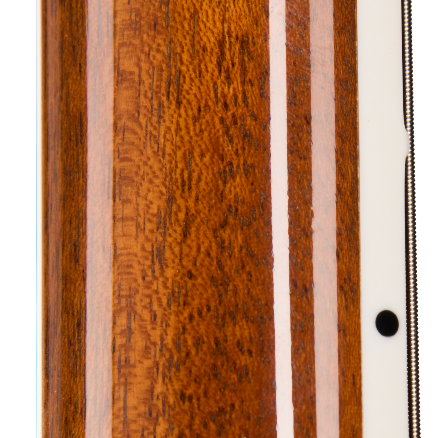 Gibson Mod™ Collection Les Paul Special Double Cut Figured, Paradise Electric Guitar Gibson Mod™ Collection