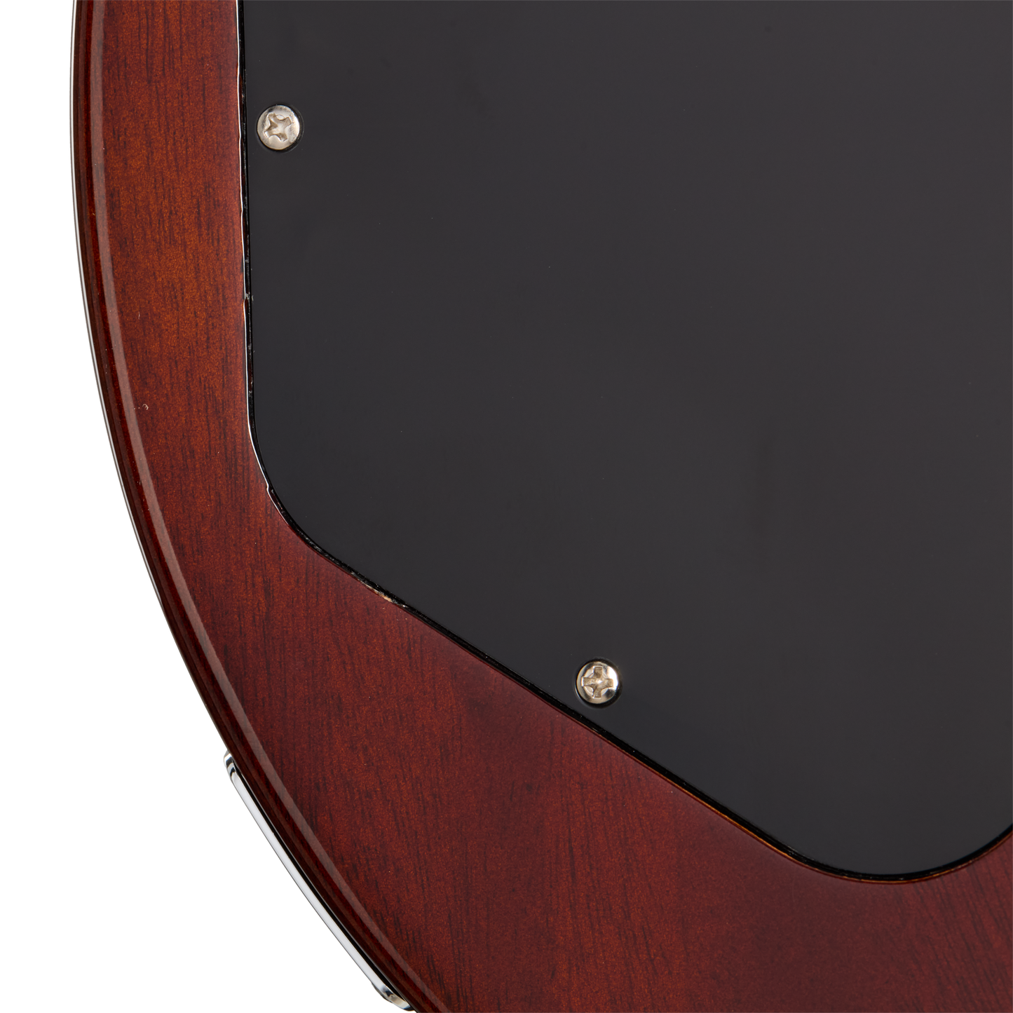 Gibson Mod™ Collection Les Paul Axcess Custom, Ferocious Felidae Gibson Mod™ Collection