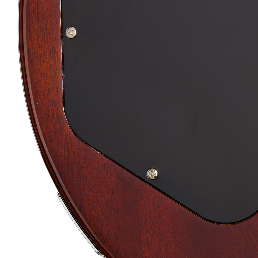 Gibson Mod™ Collection Les Paul Axcess Custom, Ferocious Felidae Gibson Mod™ Collection