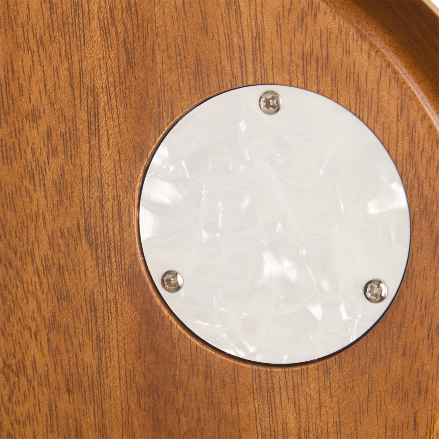 Gibson Mod™ Collection Les Paul Standard 50s, Brownze Top Electric Guitar Gibson Mod™ Collection