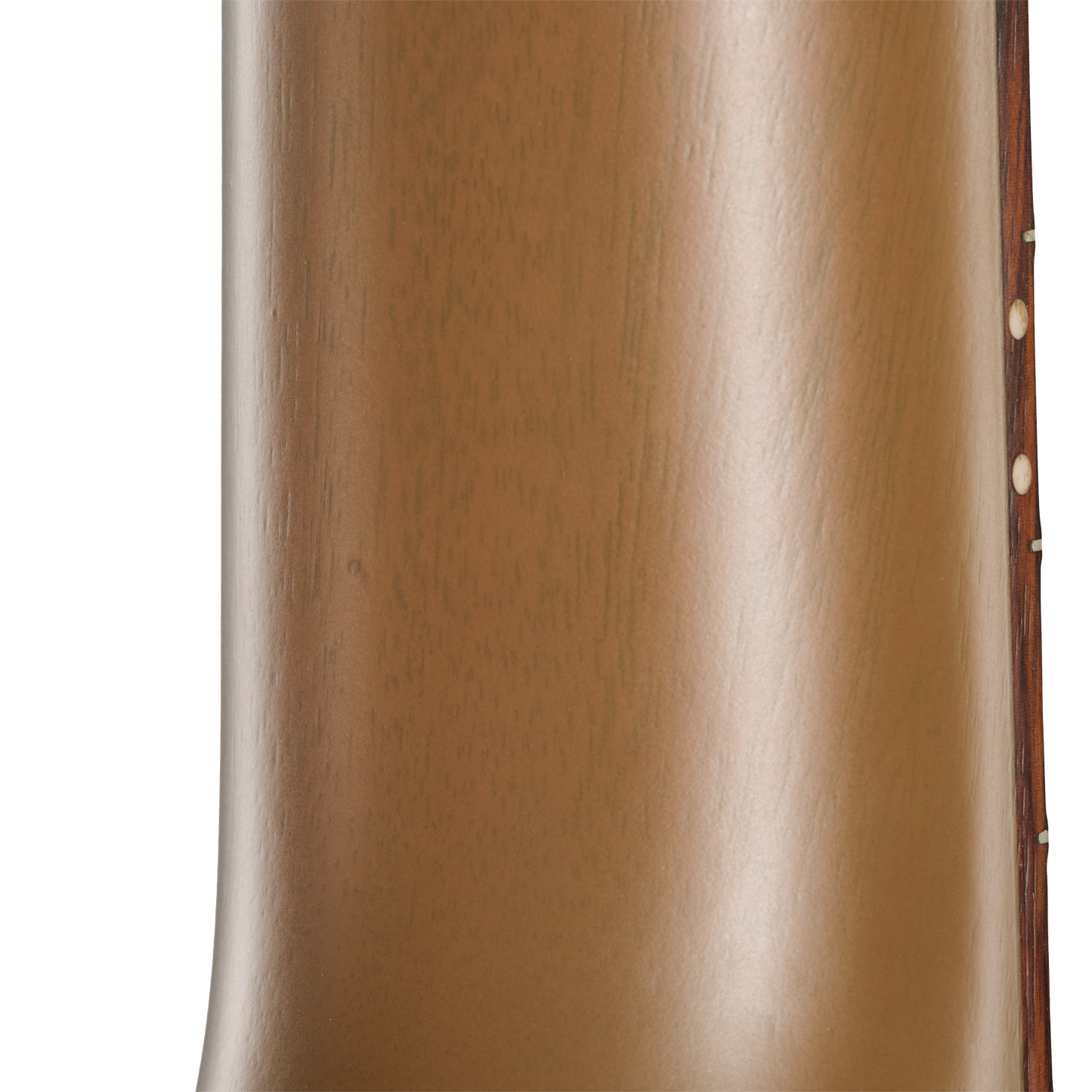 Gibson Mod™ Collection Les Paul Junior, Mudbird Gibson Mod™ Collection