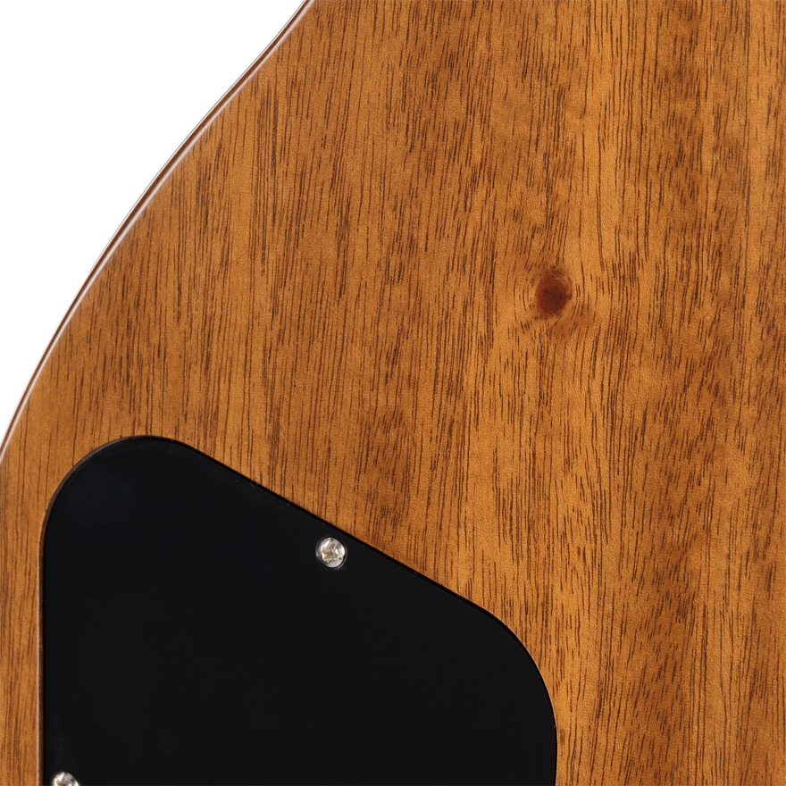 Gibson Mod™ Collection Les Paul Standard 50s, Plummish Electric Guitar Gibson Mod™ Collection