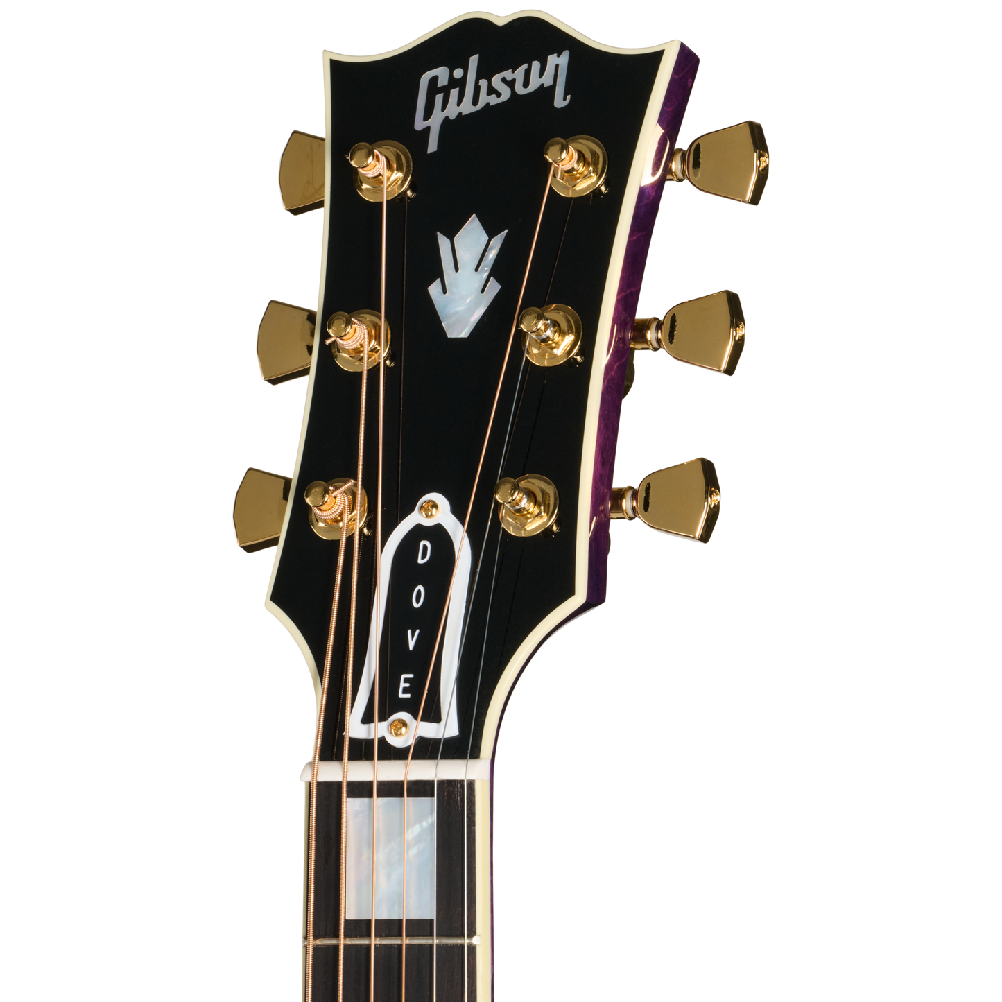 Gibson Custom Dove Original with Bearclaw Top, Purple Stain Gibson