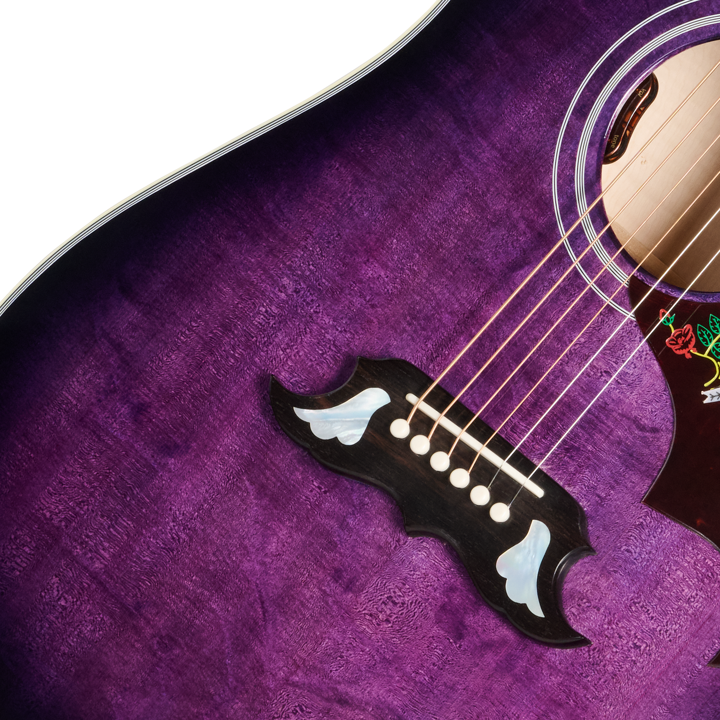 Gibson Custom Dove Original with Bearclaw Top, Purple Stain Gibson