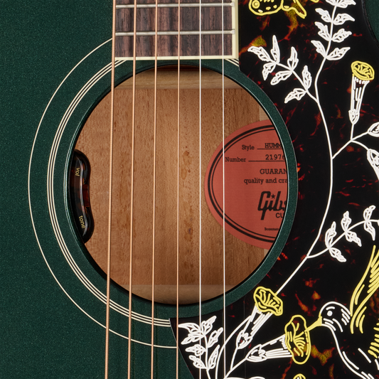 Gibson Custom Hummingbird Standard with HiFi DNA, Gloss, British Racing Green, Exclusive Acoustic Guitar Gibson Custom